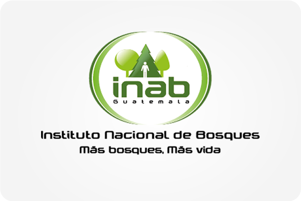 Instituto Nacional de Bosques (INAB)