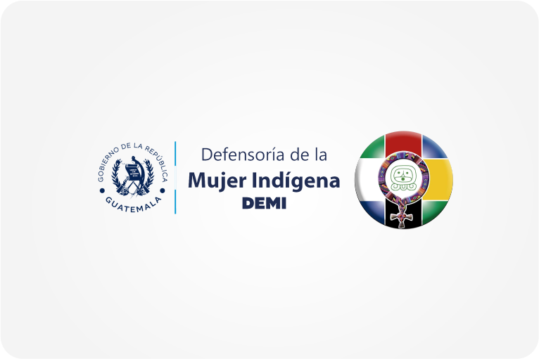 Defensoría de la Mujer Indígena (DEMI)