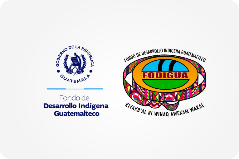 Fondo de Desarrollo Indígena Guatemalteco (FODIGUA)